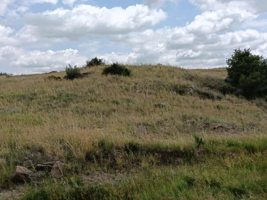 0 Bedroom Property for Sale in Lindley Rural Free State